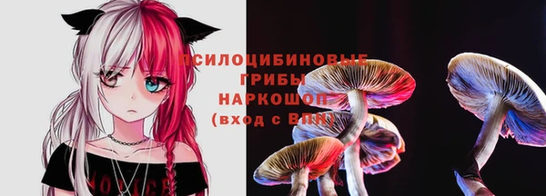 герыч Богородицк