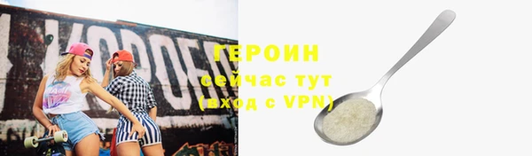 сатива Беломорск