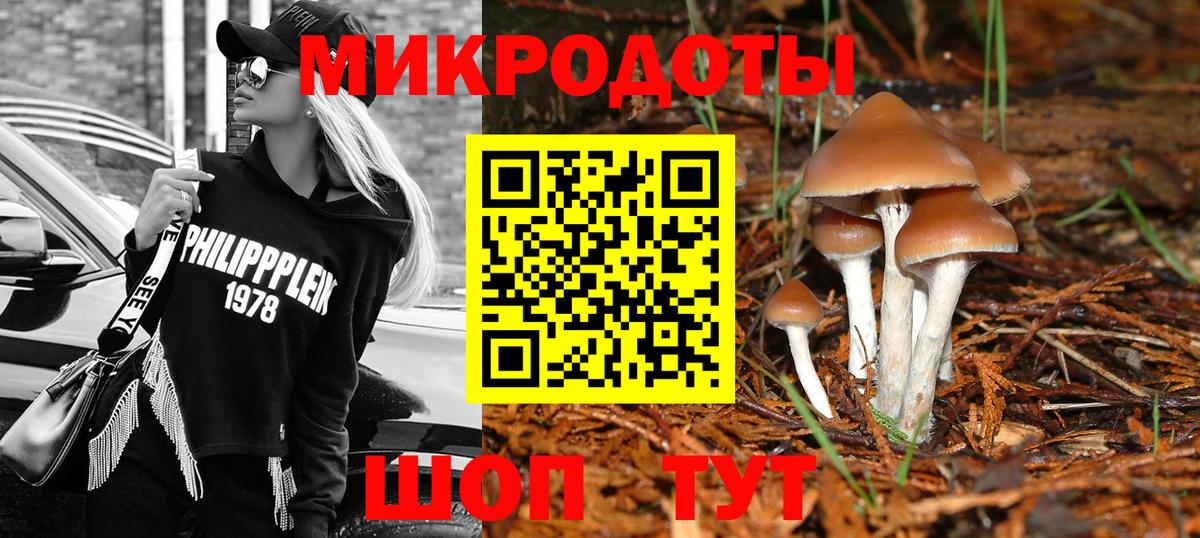 Вязьма  Псилоцибиновые грибы ЛСД  Вход с VPN  Галлюциногенные грибы Magic Shrooms 